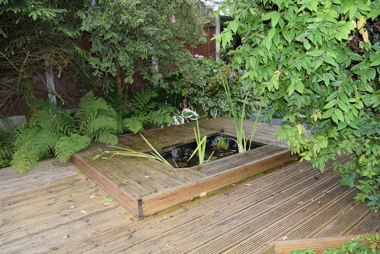 pond deck