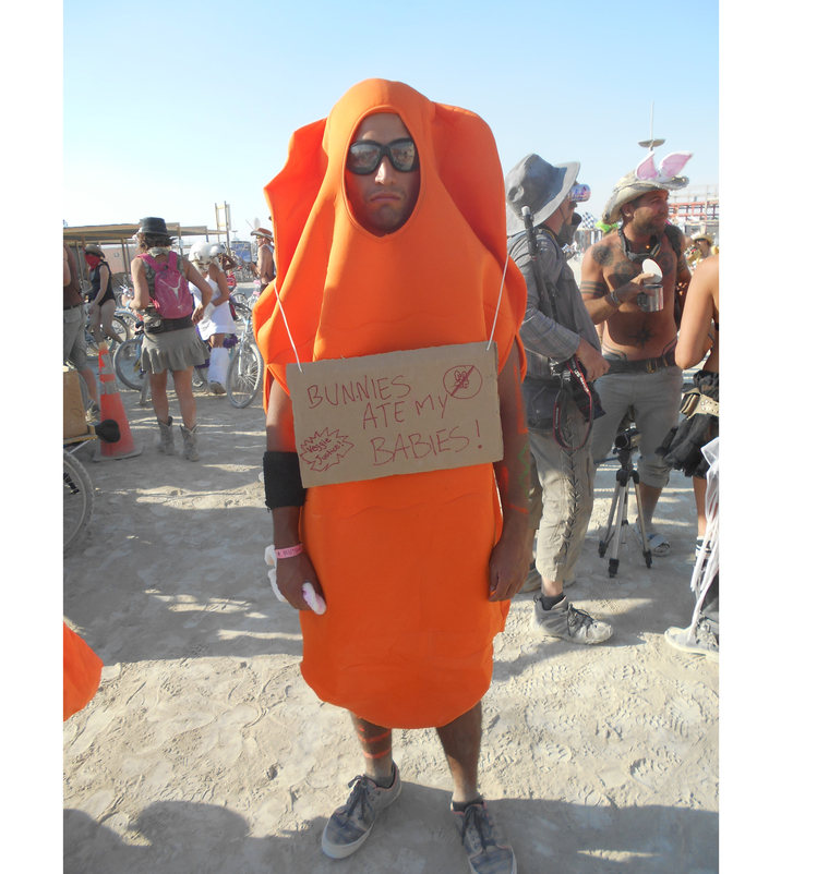 carrot 2013