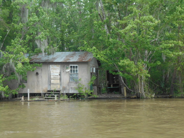 cabin in swamp