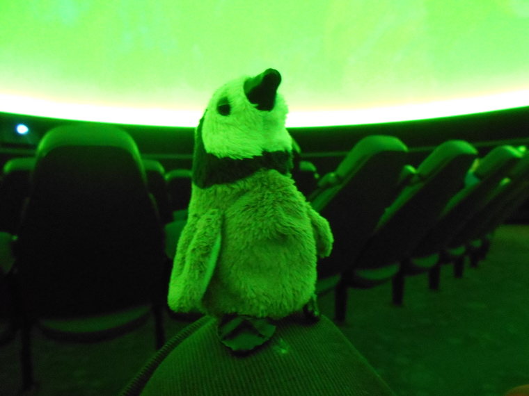 penguin in planetarium