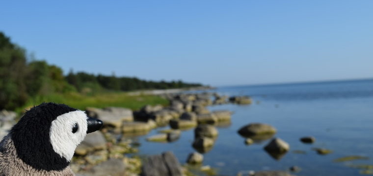 Gotland and Fårö – Swedish islands