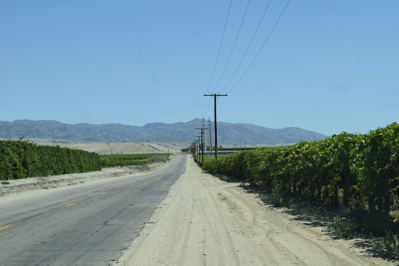 farms near Salton Sea