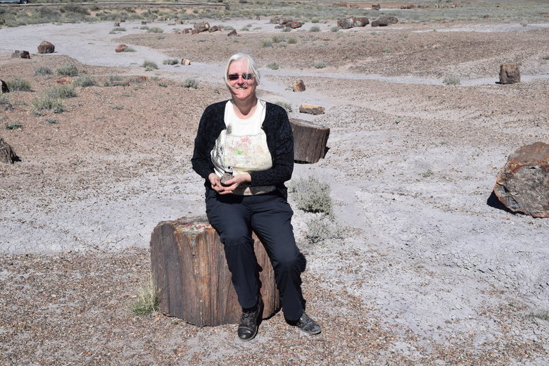 Petrified Forest National Park, Arizona, USA