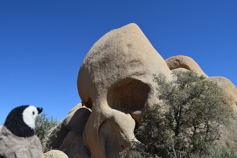 Skull Rock