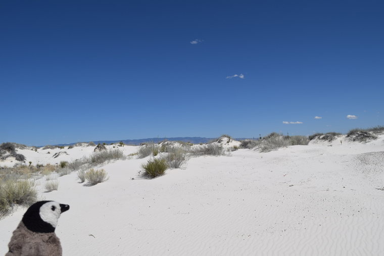 White Sands - Travel