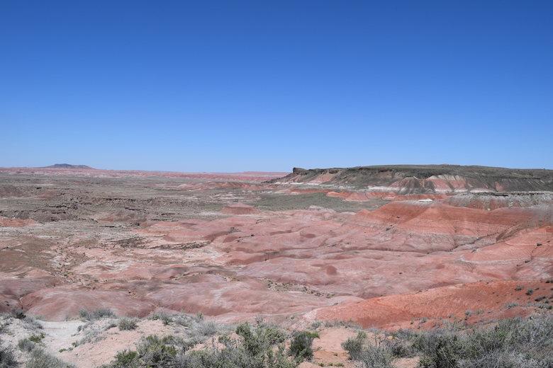 Petrified Forest