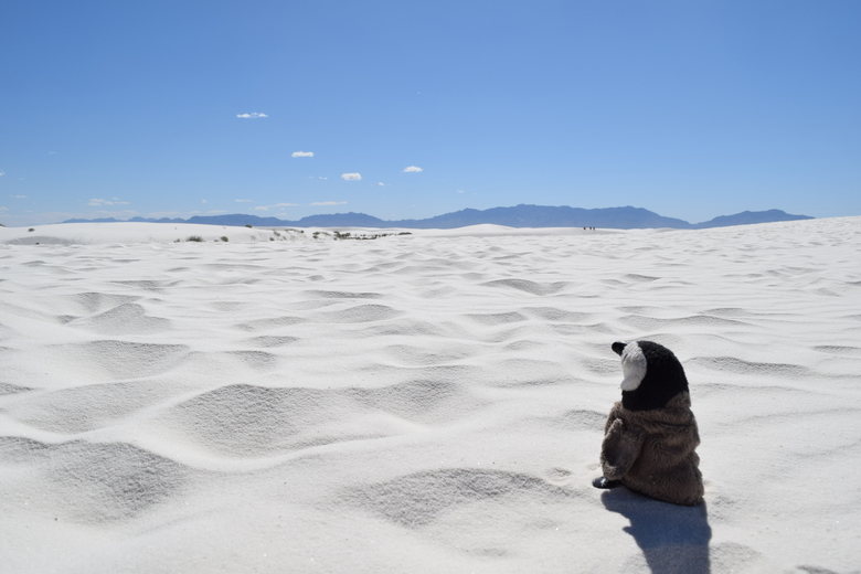 White Sands