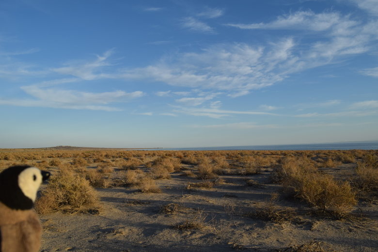 Salton Sea