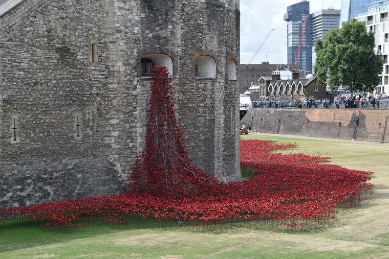 Tower of London poppies