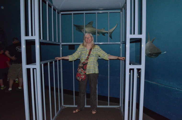 Oklahoma Aquarium shark cage