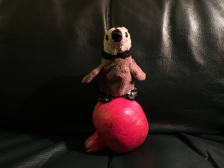 Penguin sitting on a pomegranate not for laundry