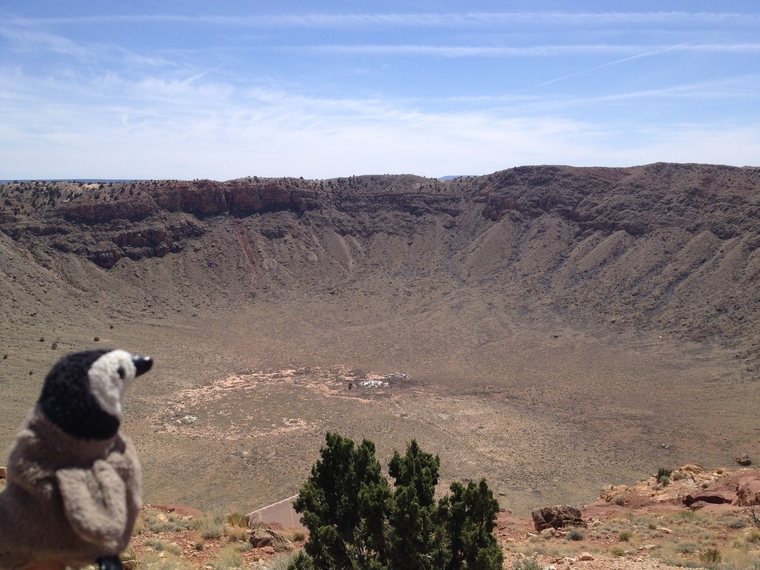 Penguin at Meteor Crater