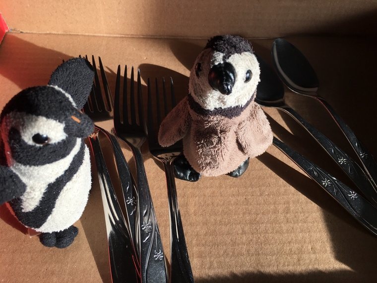 penguins and cutlery