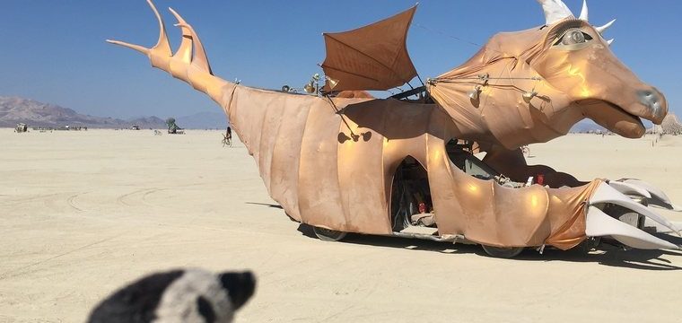 Penguin’s Best Art of Burning Man 2018