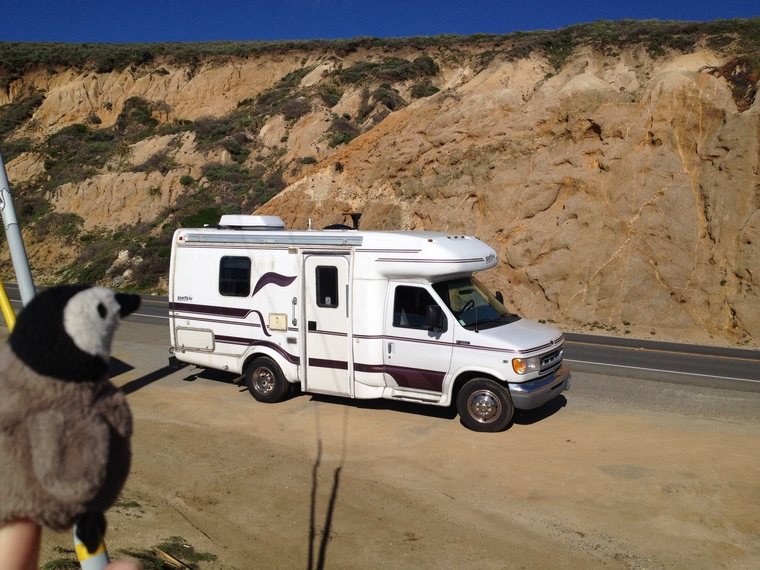 Penguin and RV by California Coast